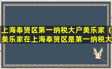 上海奉贤区第一纳税大户美乐家（美乐家在上海奉贤区是第一纳税大户吗）