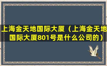 上海金天地国际大厦（上海金天地国际大厦801号是什么公司的）