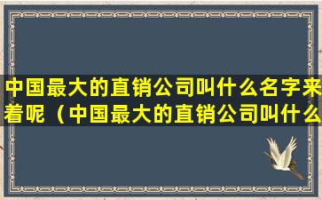 中国最大的直销公司叫什么名字来着呢（中国最大的直销公司叫什么名字来着呢英文）