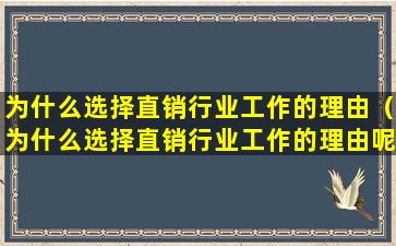 为什么选择直销行业工作的理由（为什么选择直销行业工作的理由呢）