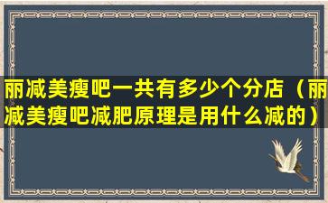 丽减美瘦吧一共有多少个分店（丽减美瘦吧减肥原理是用什么减的）