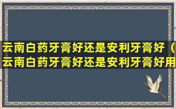 云南白药牙膏好还是安利牙膏好（云南白药牙膏好还是安利牙膏好用）