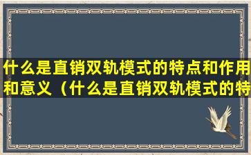 什么是直销双轨模式的特点和作用和意义（什么是直销双轨模式的特点和作用和意义的区别）