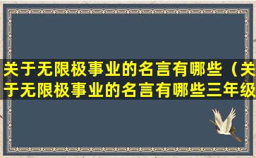 关于无限极事业的名言有哪些（关于无限极事业的名言有哪些三年级）