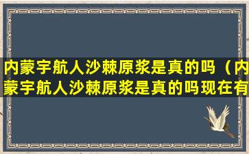 内蒙宇航人沙棘原浆是真的吗（内蒙宇航人沙棘原浆是真的吗现在有活动,有优惠吗）