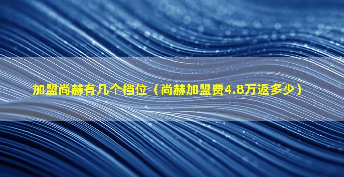 加盟尚赫有几个档位（尚赫加盟费4.8万返多少）