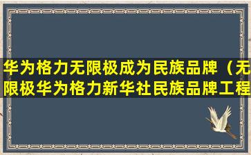 华为格力无限极成为民族品牌（无限极华为格力新华社民族品牌工程）