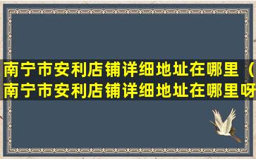 南宁市安利店铺详细地址在哪里（南宁市安利店铺详细地址在哪里呀）