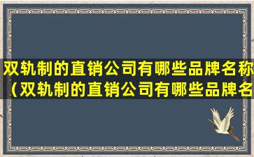 双轨制的直销公司有哪些品牌名称（双轨制的直销公司有哪些品牌名称和代号）