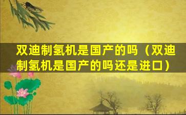 双迪制氢机是国产的吗（双迪制氢机是国产的吗还是进口）