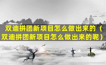 双迪拼团新项目怎么做出来的（双迪拼团新项目怎么做出来的呢）