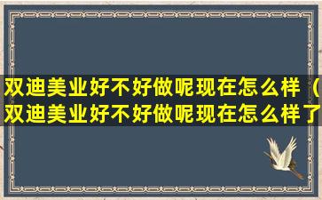 双迪美业好不好做呢现在怎么样（双迪美业好不好做呢现在怎么样了）