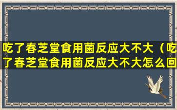 吃了春芝堂食用菌反应大不大（吃了春芝堂食用菌反应大不大怎么回事）