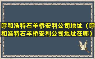 呼和浩特石羊桥安利公司地址（呼和浩特石羊桥安利公司地址在哪）