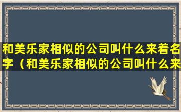 和美乐家相似的公司叫什么来着名字（和美乐家相似的公司叫什么来着名字呢）