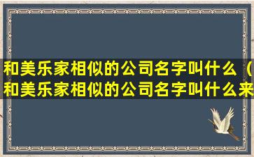 和美乐家相似的公司名字叫什么（和美乐家相似的公司名字叫什么来着）