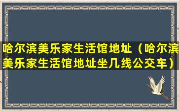 哈尔滨美乐家生活馆地址（哈尔滨美乐家生活馆地址坐几线公交车）