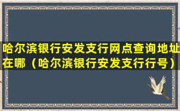 哈尔滨银行安发支行网点查询地址在哪（哈尔滨银行安发支行行号）