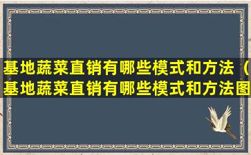 基地蔬菜直销有哪些模式和方法（基地蔬菜直销有哪些模式和方法图片）