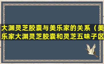 大渊灵芝胶囊与美乐家的关系（美乐家大渊灵芝胶囊和灵芝五味子区别）