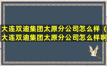 大连双迪集团太原分公司怎么样（大连双迪集团太原分公司怎么样啊）