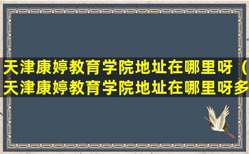 天津康婷教育学院地址在哪里呀（天津康婷教育学院地址在哪里呀多少钱）