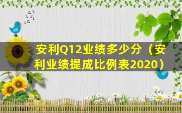 安利Q12业绩多少分（安利业绩提成比例表2020）