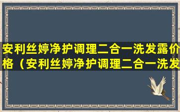 安利丝婷净护调理二合一洗发露价格（安利丝婷净护调理二合一洗发露价格多少）