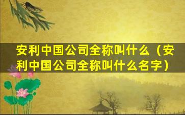 安利中国公司全称叫什么（安利中国公司全称叫什么名字）