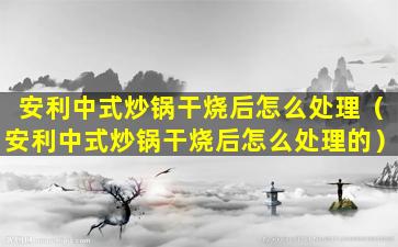 安利中式炒锅干烧后怎么处理（安利中式炒锅干烧后怎么处理的）