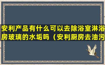 安利产品有什么可以去除浴室淋浴房玻璃的水垢吗（安利厨房去油污清洁剂怎么样）