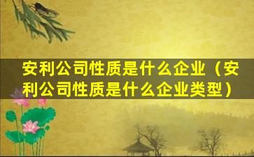 安利公司性质是什么企业（安利公司性质是什么企业类型）