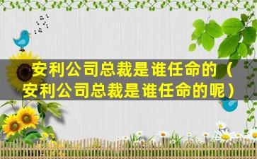 安利公司总裁是谁任命的（安利公司总裁是谁任命的呢）