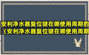 安利净水器复位键在哪使用周期的（安利净水器复位键在哪使用周期的呢）