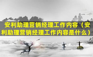 安利助理营销经理工作内容（安利助理营销经理工作内容是什么）