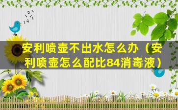 安利喷壶不出水怎么办（安利喷壶怎么配比84消毒液）