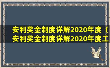 安利奖金制度详解2020年度（安利奖金制度详解2020年度工作总结）