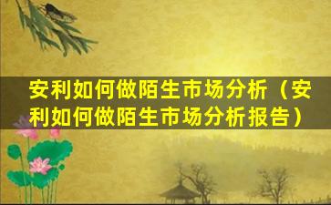 安利如何做陌生市场分析（安利如何做陌生市场分析报告）