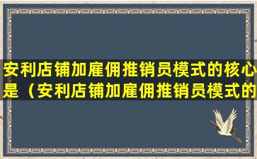 安利店铺加雇佣推销员模式的核心是（安利店铺加雇佣推销员模式的核心是什么）