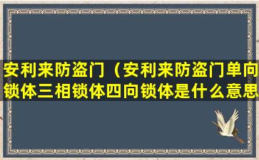 安利来防盗门（安利来防盗门单向锁体三相锁体四向锁体是什么意思）