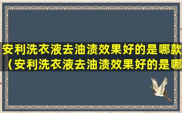 安利洗衣液去油渍效果好的是哪款（安利洗衣液去油渍效果好的是哪款品牌）