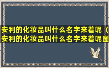 安利的化妆品叫什么名字来着呢（安利的化妆品叫什么名字来着呢图片）