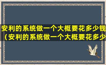 安利的系统做一个大概要花多少钱（安利的系统做一个大概要花多少钱呀）