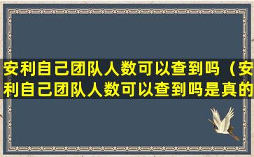 安利自己团队人数可以查到吗（安利自己团队人数可以查到吗是真的吗）