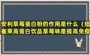 安利草莓蛋白粉的作用是什么（纽崔莱高蛋白饮品草莓味是提高免疫力的吗）