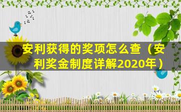 安利获得的奖项怎么查（安利奖金制度详解2020年）