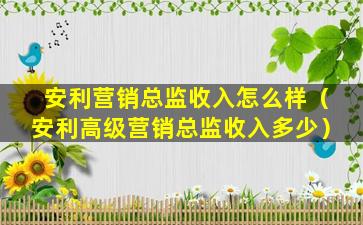 安利营销总监收入怎么样（安利高级营销总监收入多少）