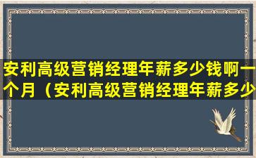 安利高级营销经理年薪多少钱啊一个月（安利高级营销经理年薪多少钱啊一个月啊）