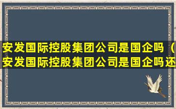 安发国际控股集团公司是国企吗（安发国际控股集团公司是国企吗还是央企）