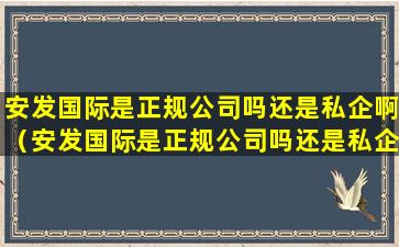 安发国际是正规公司吗还是私企啊（安发国际是正规公司吗还是私企啊多少钱）